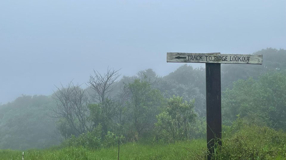 Walking Waiheke - Onetangi in the rain